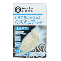 最安値 西友オリジナル 自然治癒力を高めるキズキュアパッド 水仕事用 10枚の価格比較